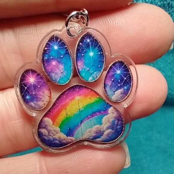 Dog paw rainbow 🌈 bridge 🌉 wire earrings love colorful sentimental - Picture 1 of 3